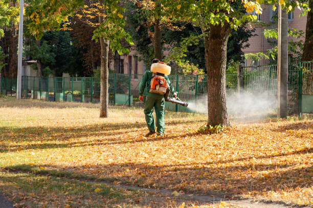 Best Mosquito Control Services  in Hart, TX